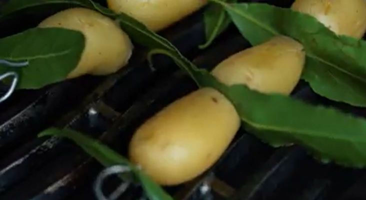 Auf einem Grillrost liegen mehrere kleine, ganze Kartoffeln, die mit frischen Lorbeerblättern gespickt sind. Die Lorbeerblätter stecken seitlich in den Kartoffeln, während der Grillrost darunter sichtbar ist.